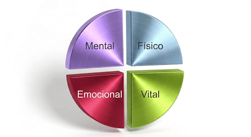 Fundamentos do método alma4D